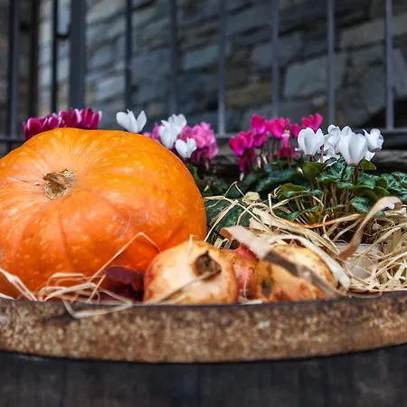 Al Castel Bed & Breakfast 3*