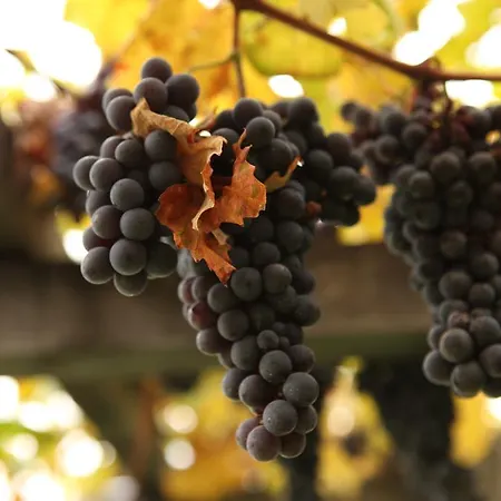 Frühstückspension Al Castel 3*