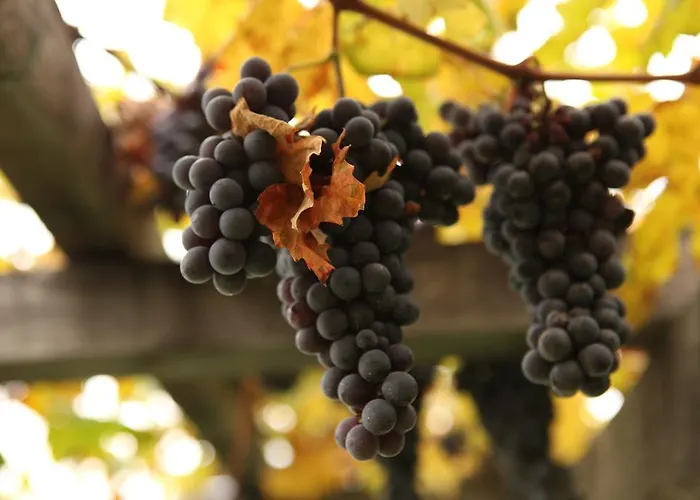 Bed & Breakfast Al Castel 3*